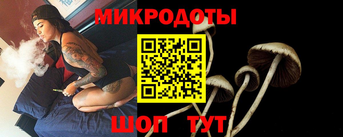 Галлюциногенные грибы Cubensis  Псилоцибиновые грибы прущие грибы  Наро-Фоминск  Вход с VPN 