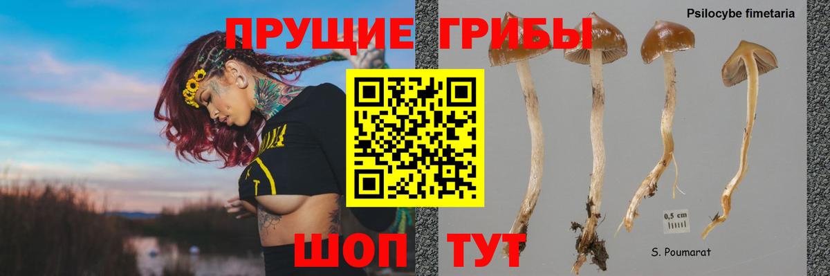 Наро-Фоминск  Кокаин  Наркошоп  Мефедрон кристаллы  ГАШ  Вход с VPN  Каннабис 